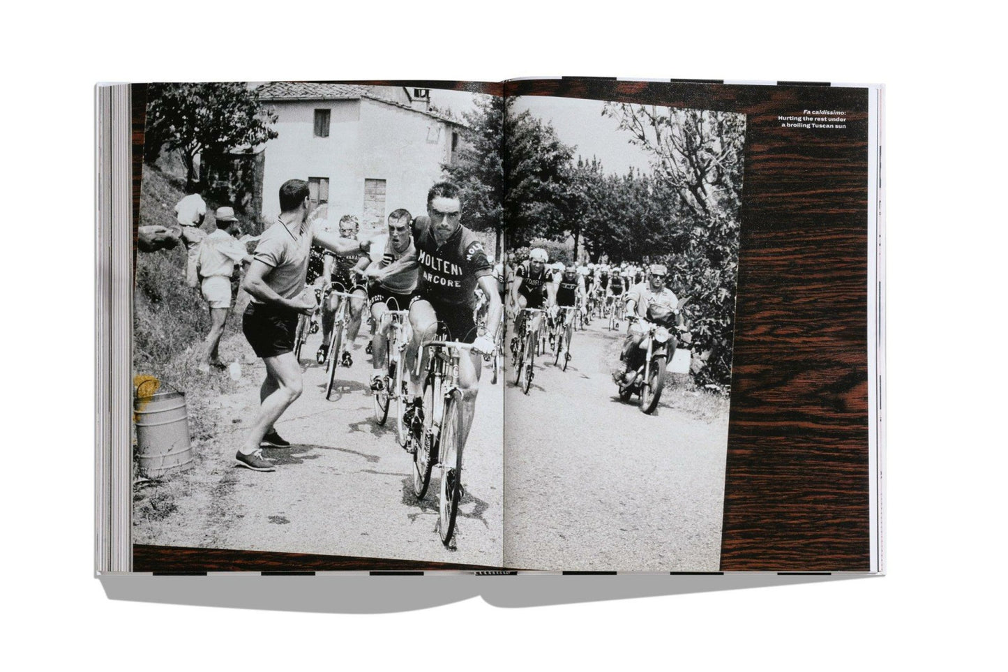 Rapha The Eagle of Canavese - Introduction to Franco Balmamion and the tale of his forgotten Giro win in 1962