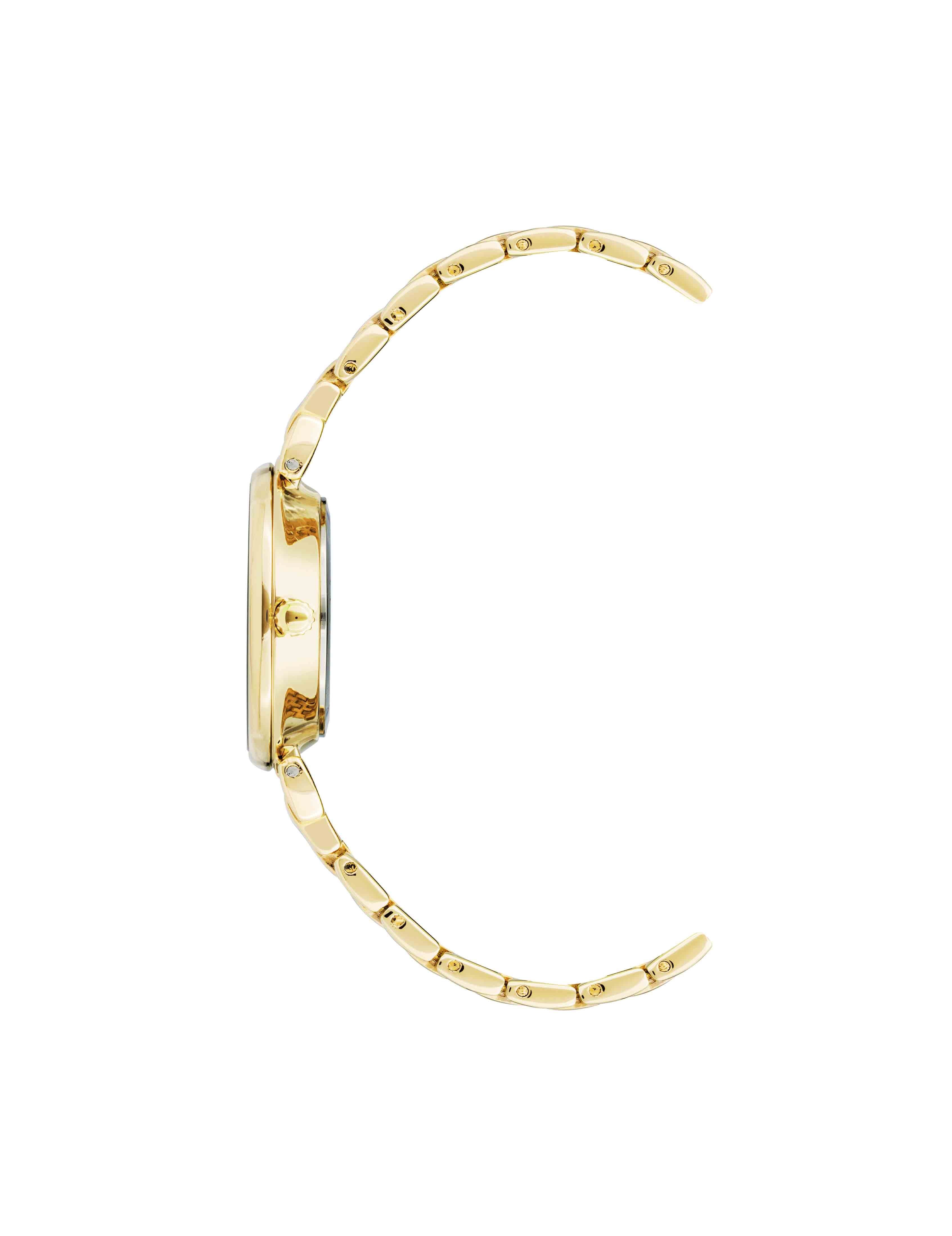 Roman Numeral Dial Watch in Gold & Burgundy - Anne Klein Red/Gold-Tone