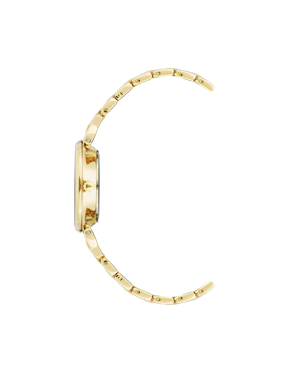 Roman Numeral Dial Watch in Gold & Burgundy - Anne Klein Red/Gold-Tone