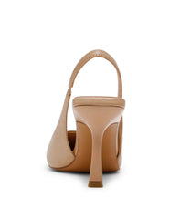Itzy - Anne Klein Biscotti