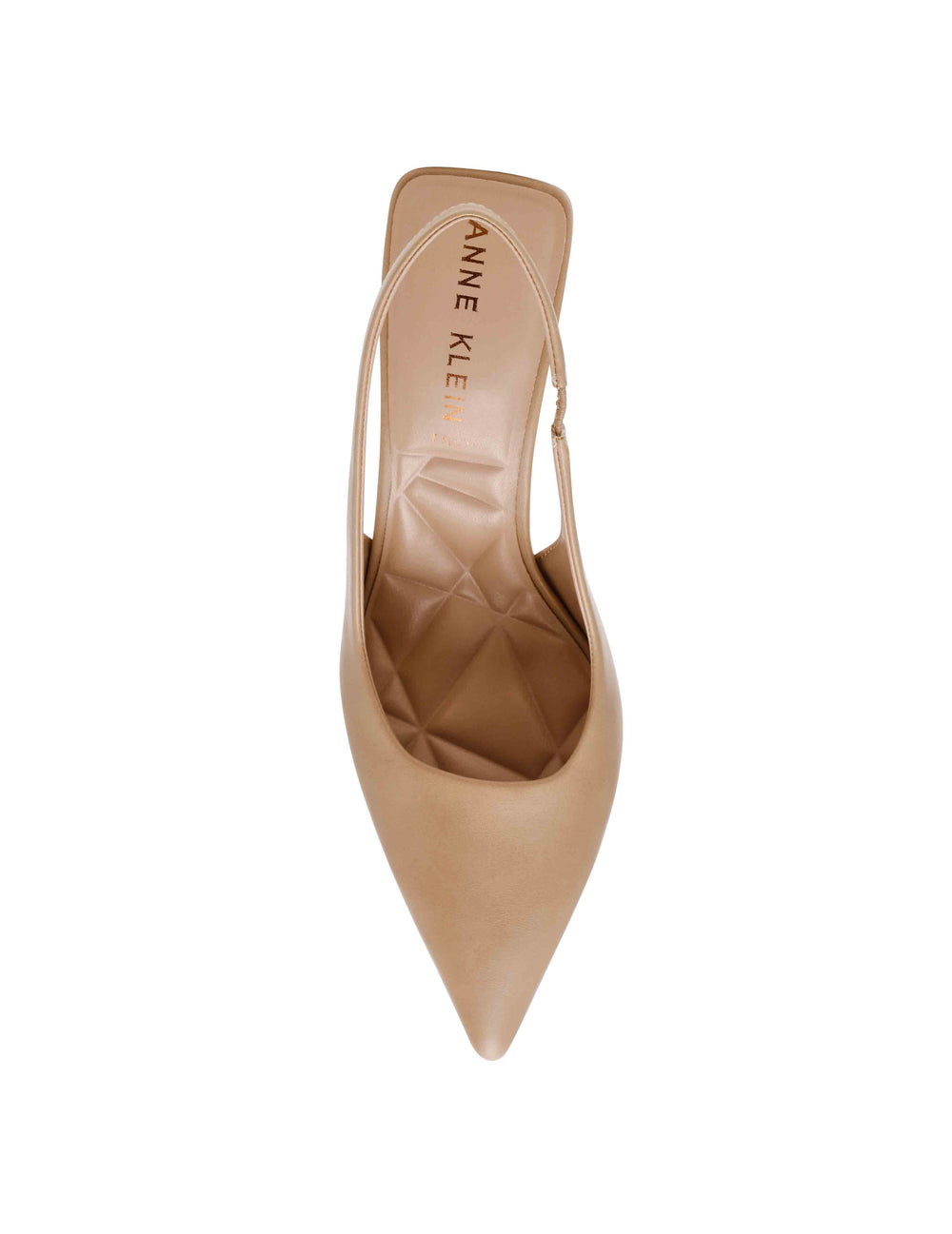 Itzy - Anne Klein Biscotti