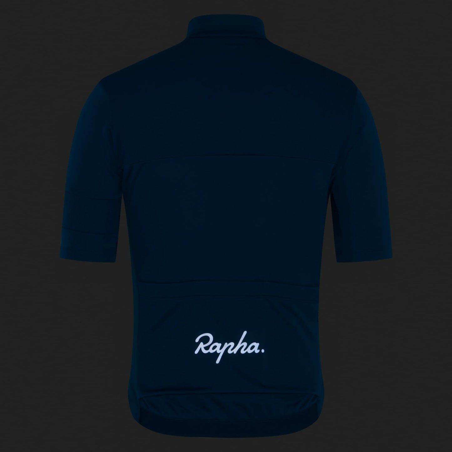 Rapha Brevet Element Jersey