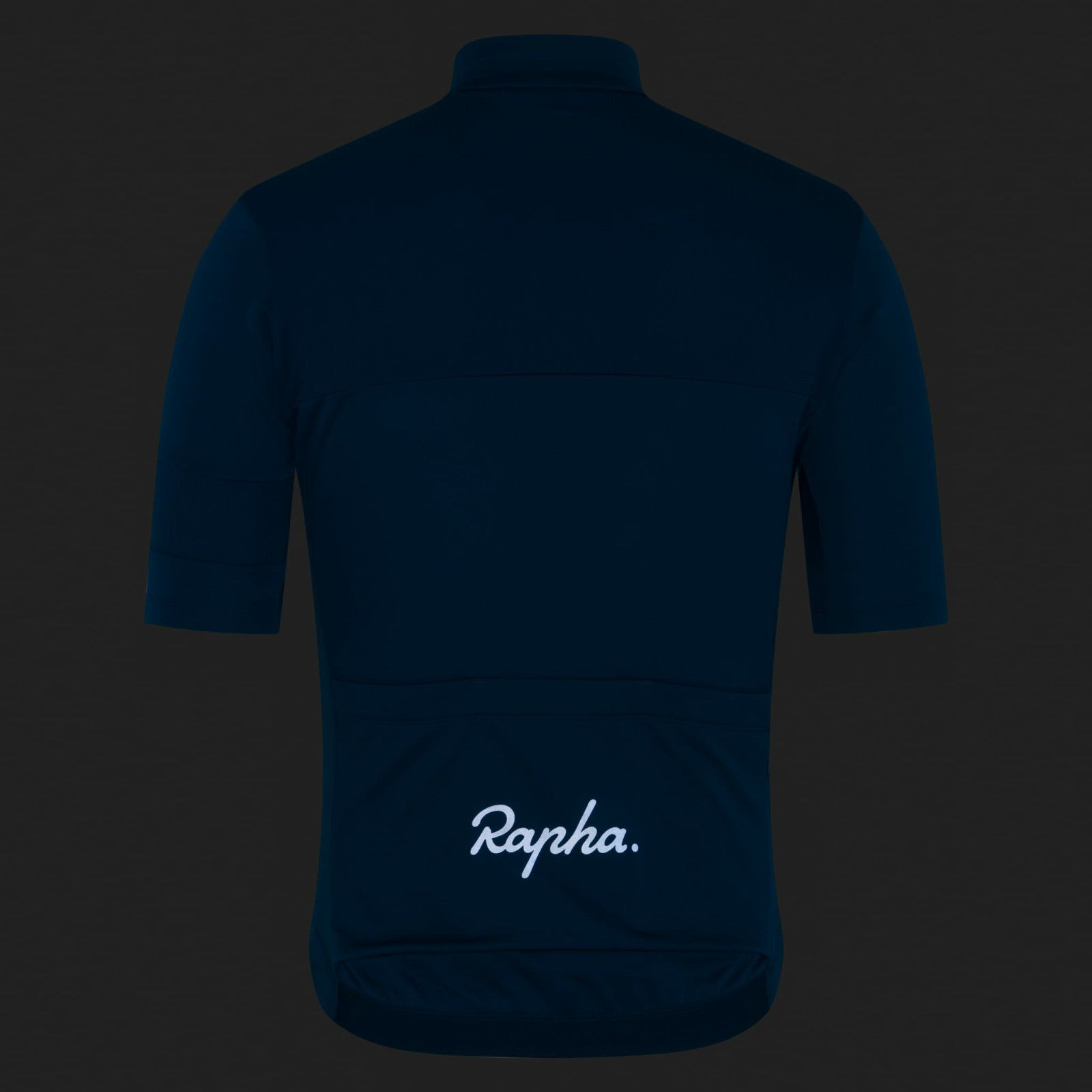 Rapha Brevet Element Jersey