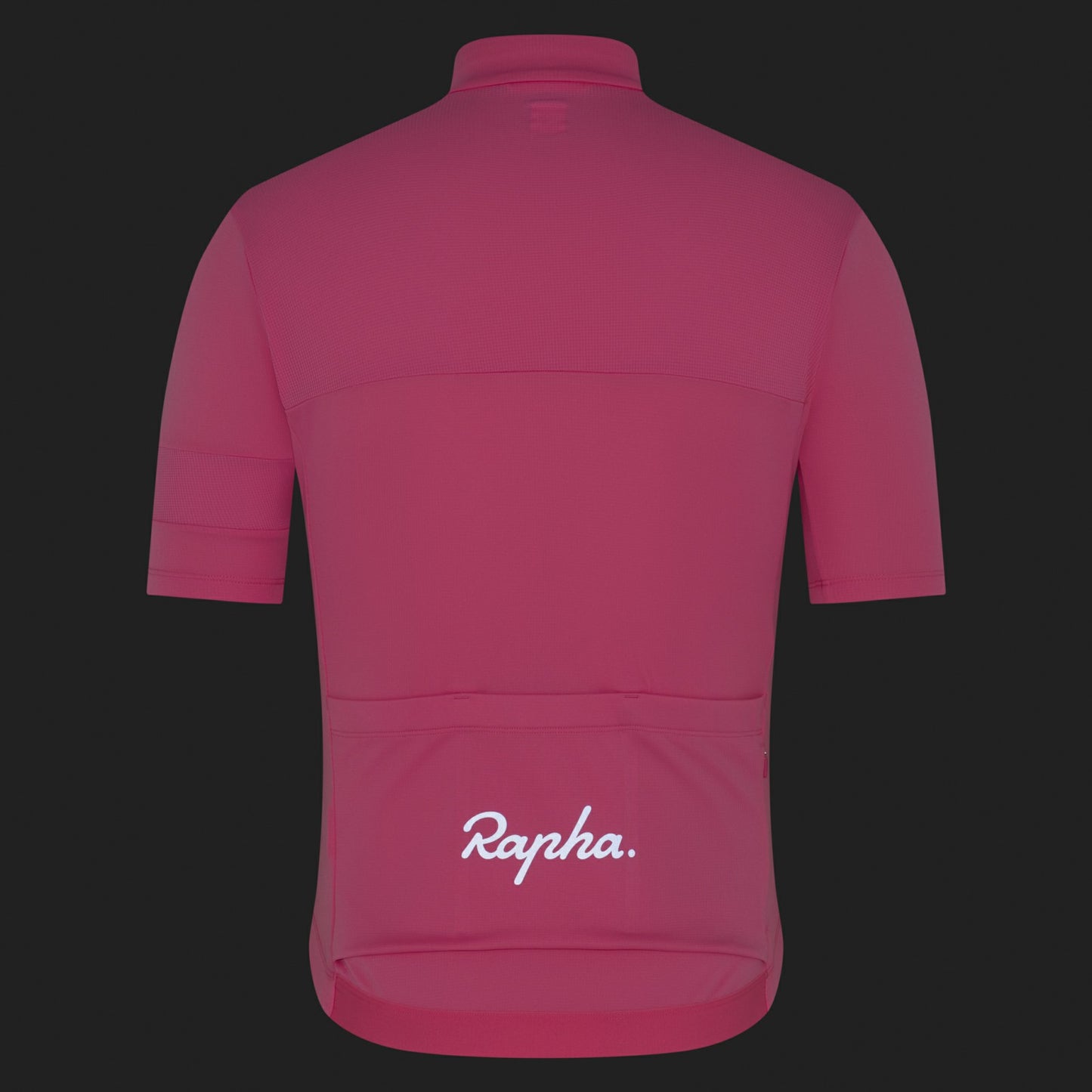 Rapha Brevet Element Jersey