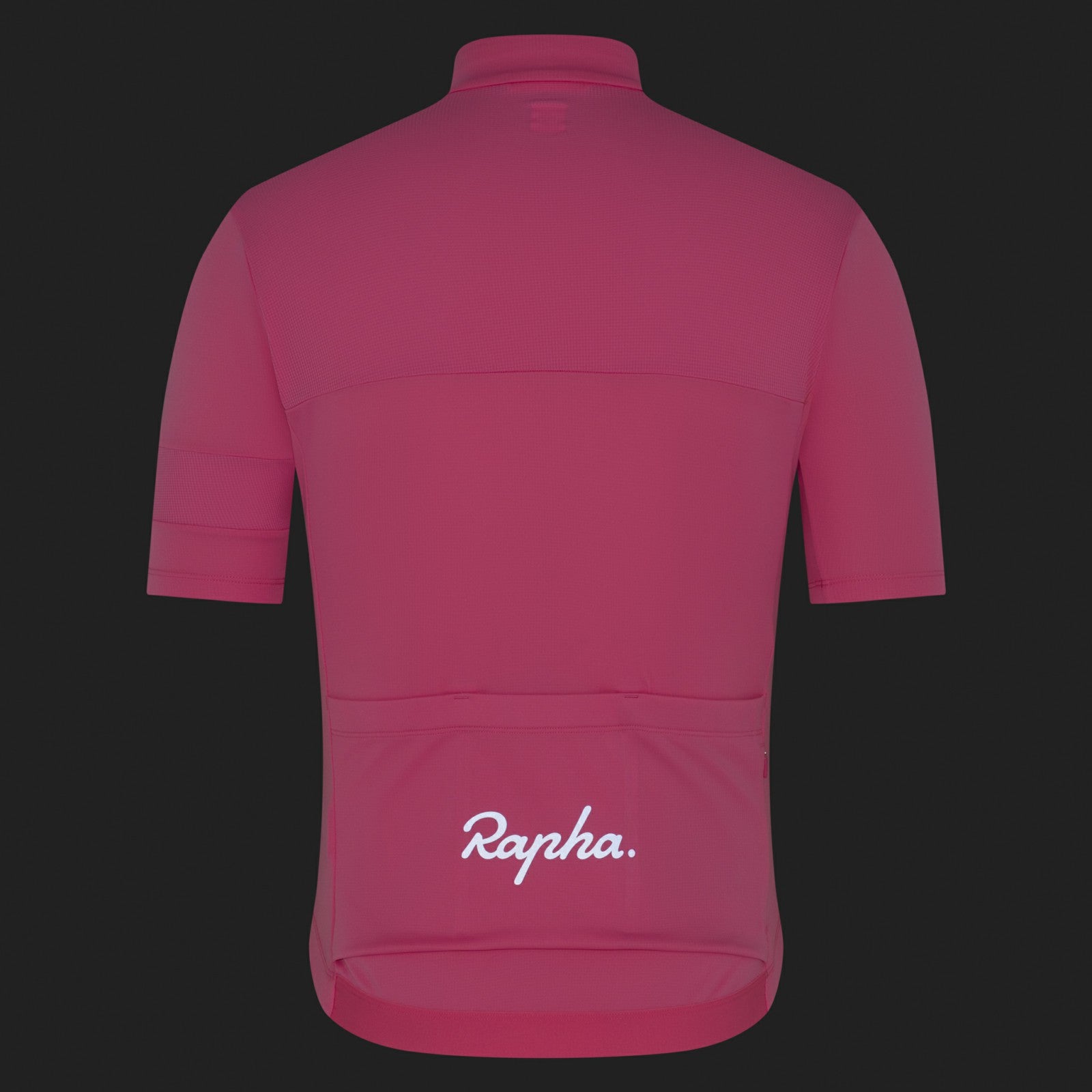Rapha Brevet Element Jersey