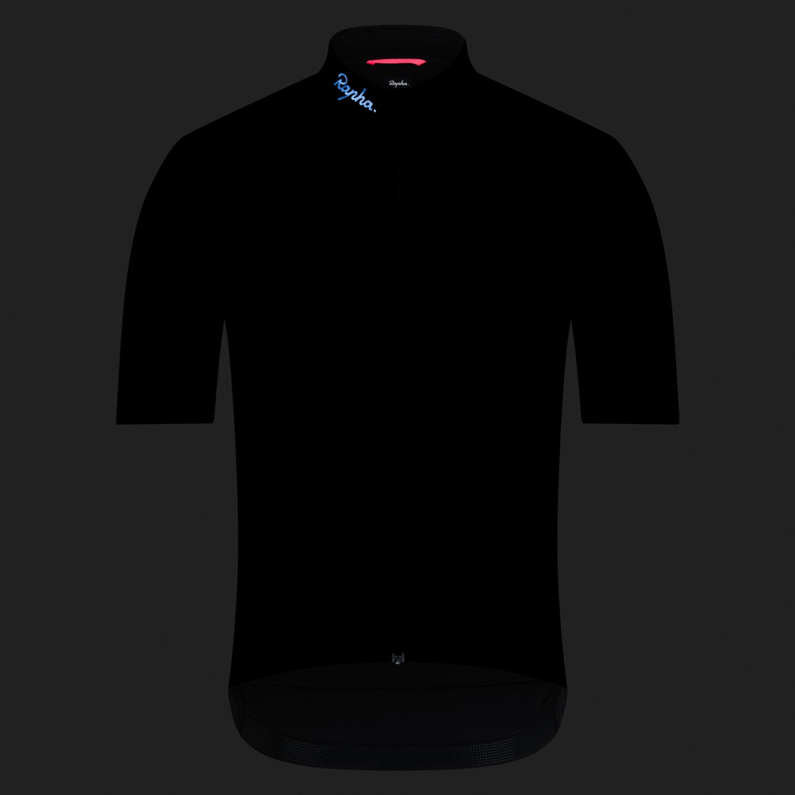 Rapha Brevet Element Jersey