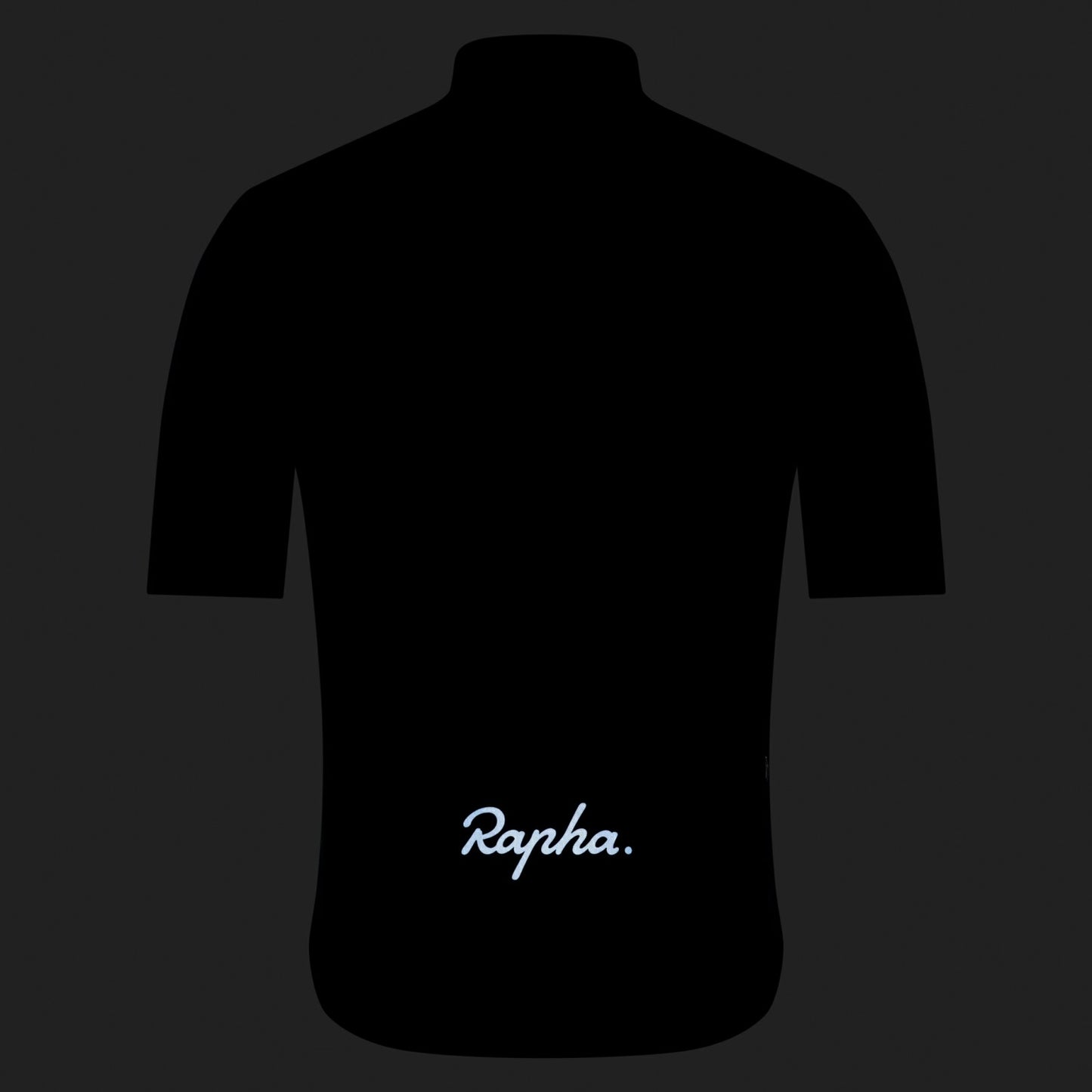 Rapha Brevet Element Jersey