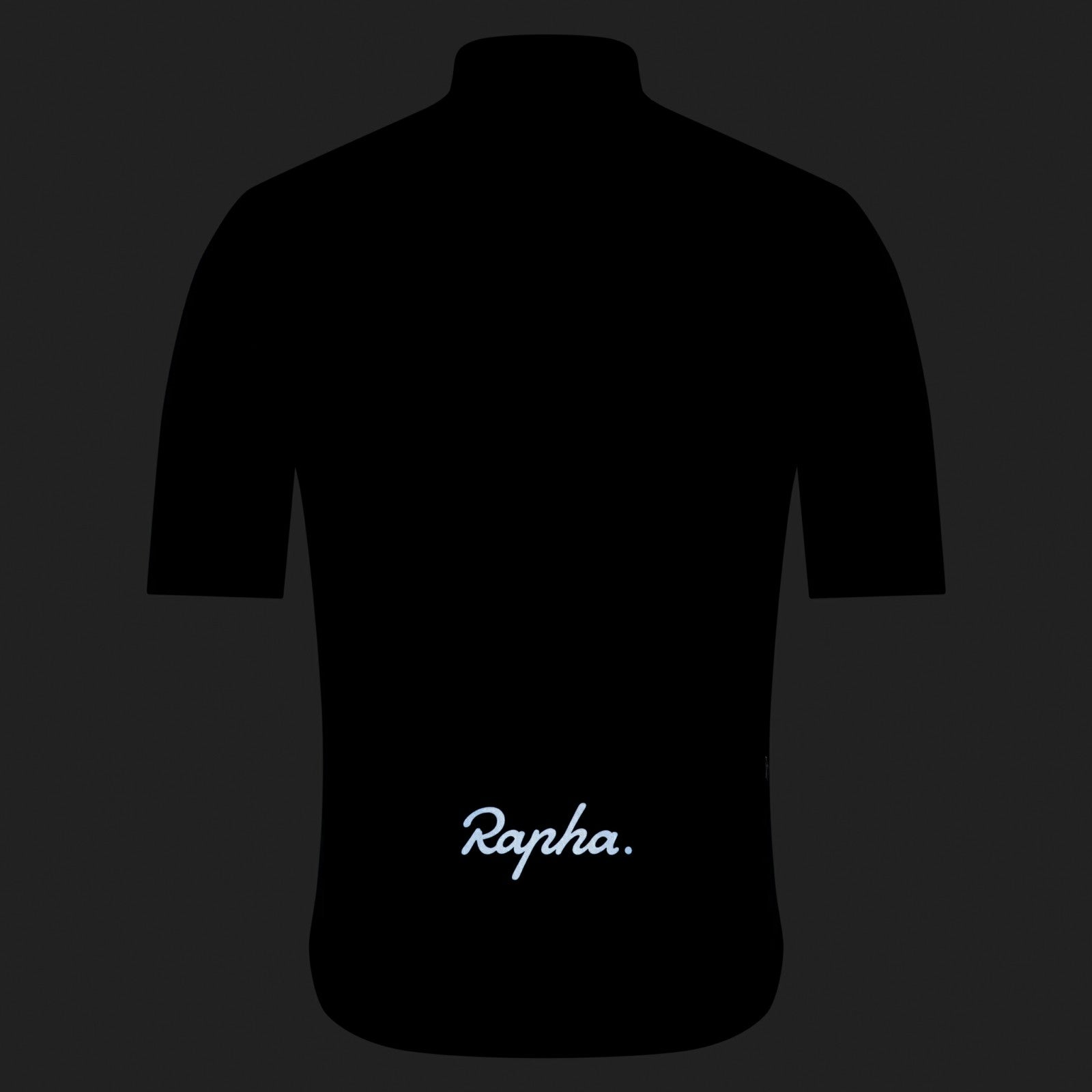 Rapha Brevet Element Jersey