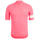 High-Vis Pink
