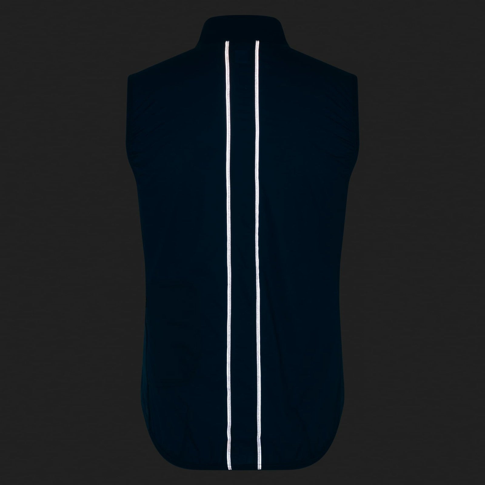 Rapha Brevet Element Wind Gilet