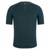 Forest Green/Forest Green