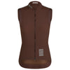 Walnut Brown / Silver Reflective