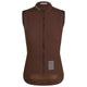 Walnut Brown / Silver Reflective