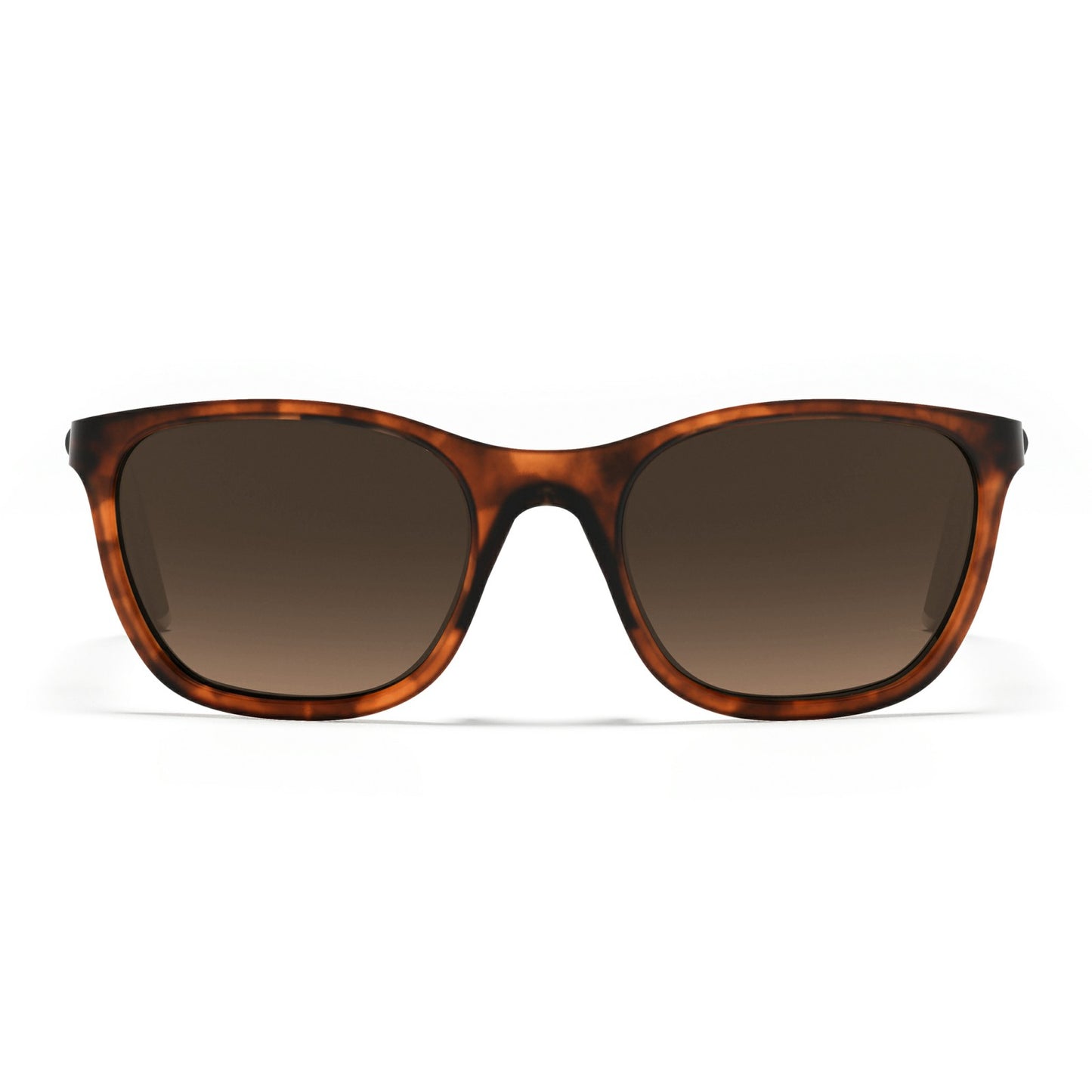 Rapha Aubisque Sunglasses