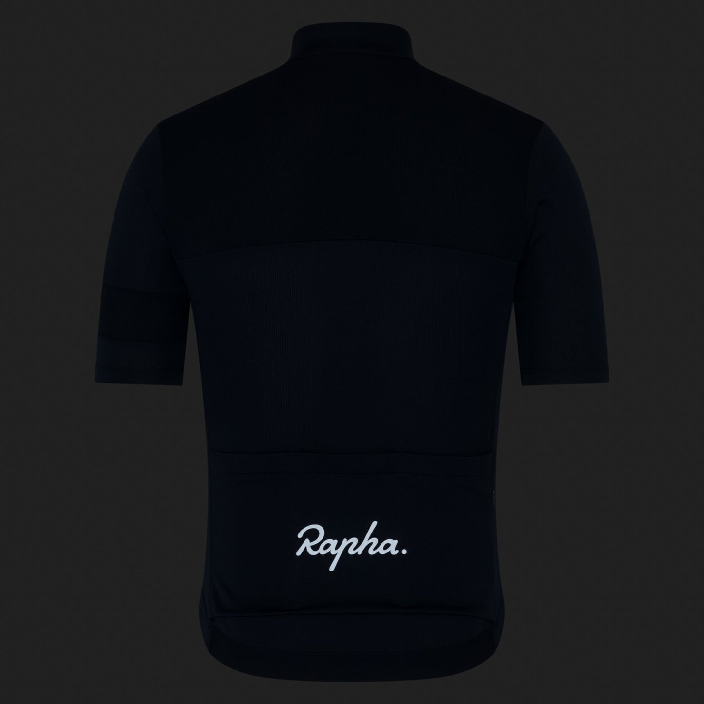Rapha Brevet Element Jersey