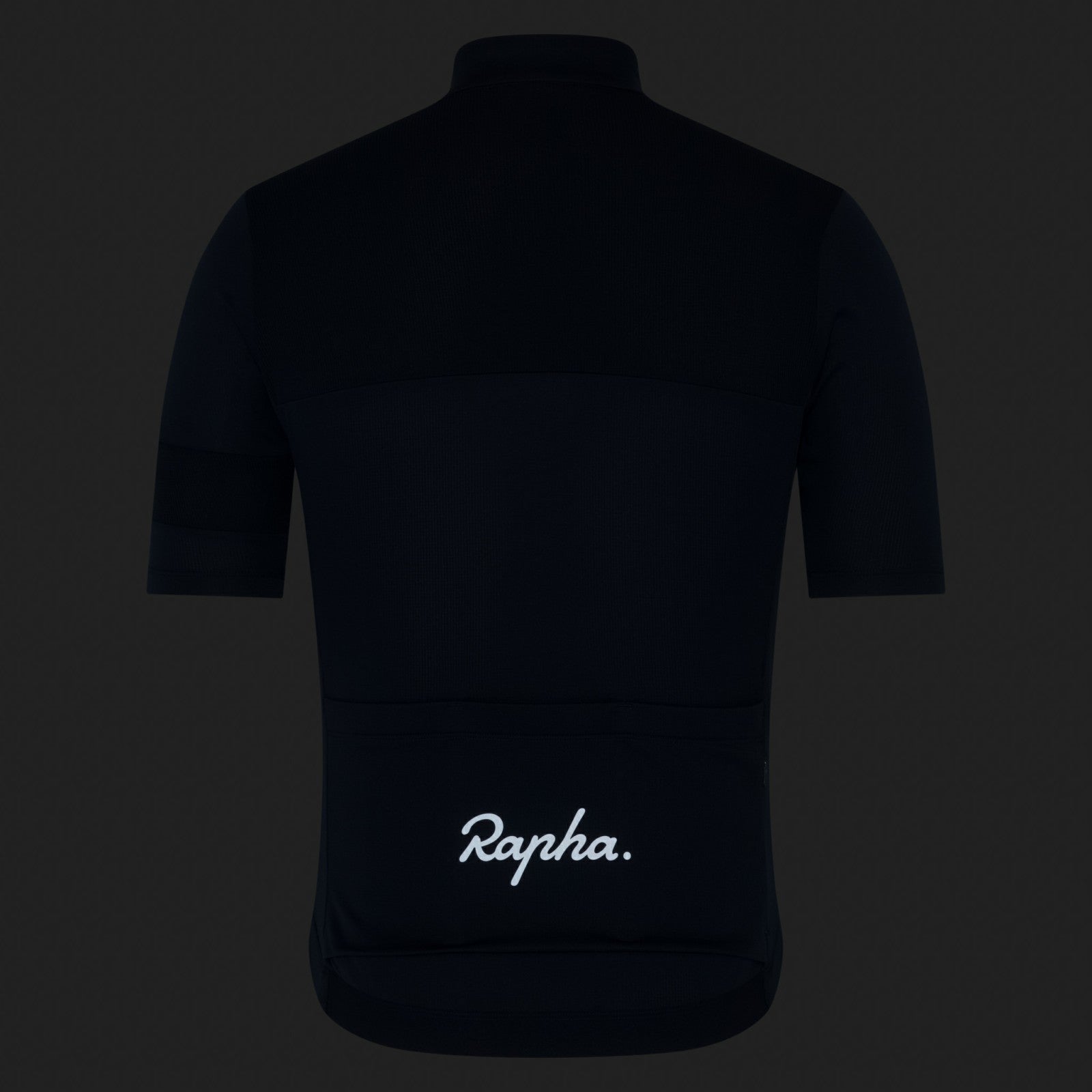 Rapha Brevet Element Jersey