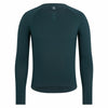 Forest Green/Forest Green