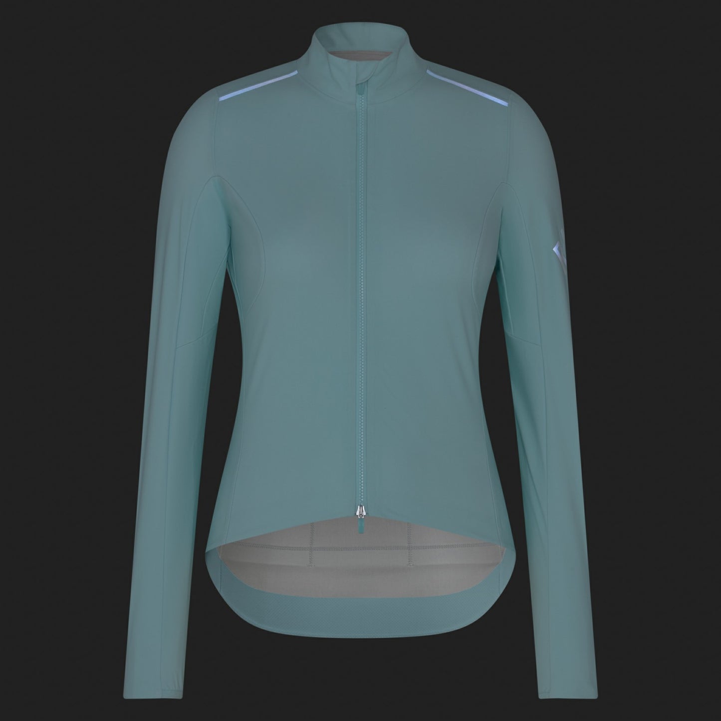 Rapha Pro Team Long Sleeve Shadow Jersey