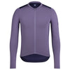 Dusted Lilac/Navy Purple 2